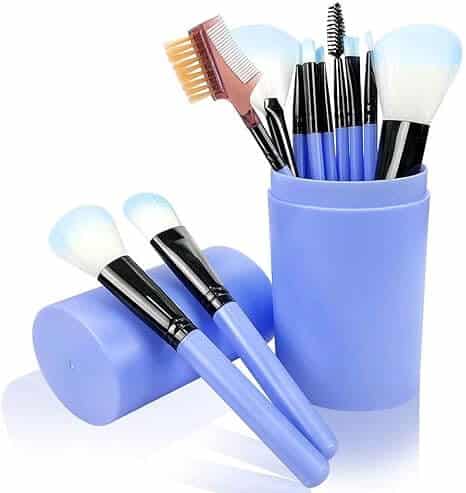 12 Piece Makeup Brush Set